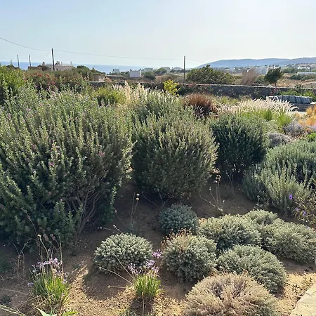 Villa Gaia, Unique Villa, Private Pool & Tennis Court & Boules *