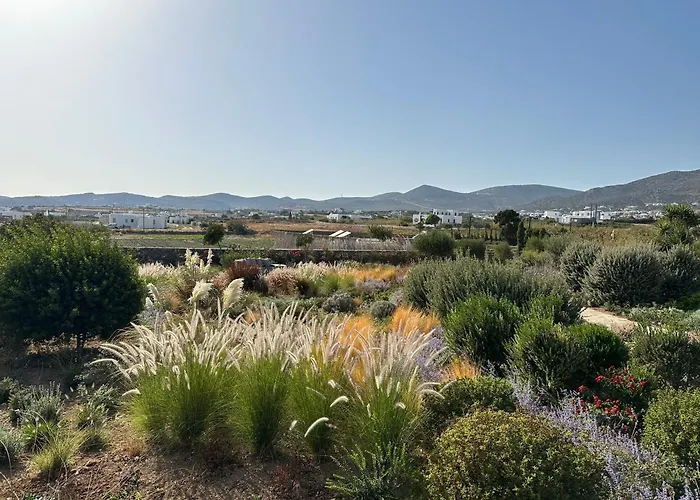 Villa Gaia, Unique Villa, Private Pool & Tennis Court & Boules *